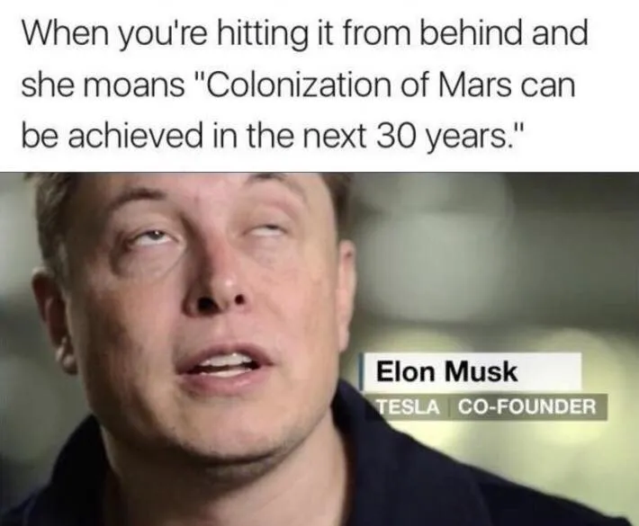 Elon Mars