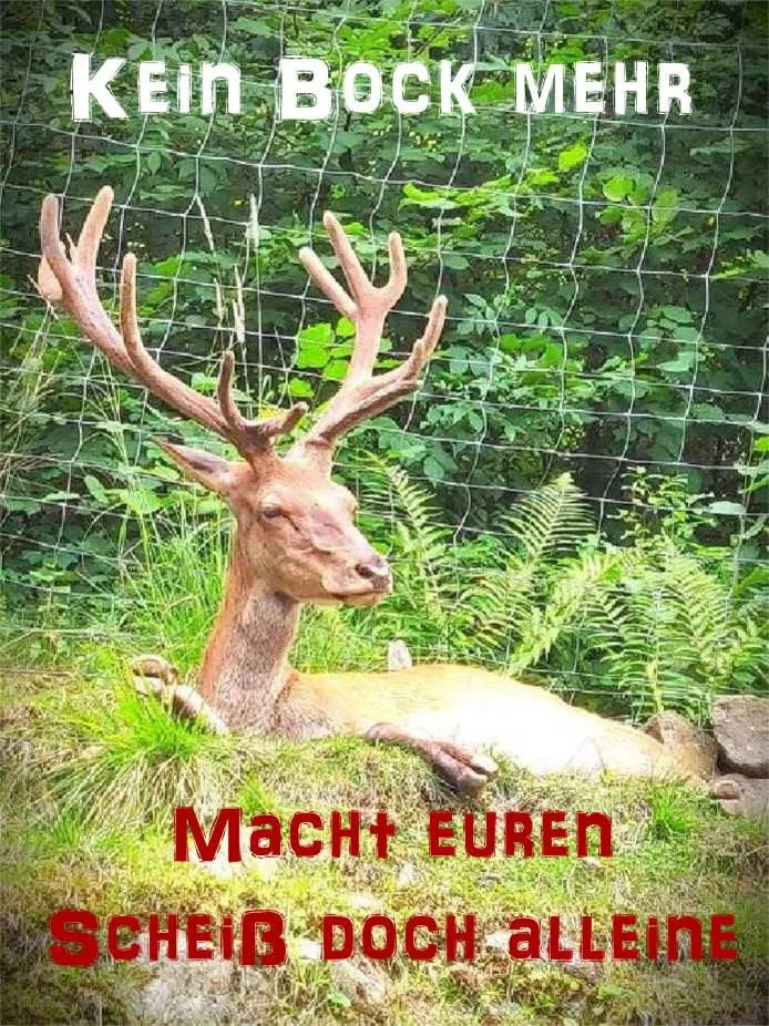 w74 - Hirsch