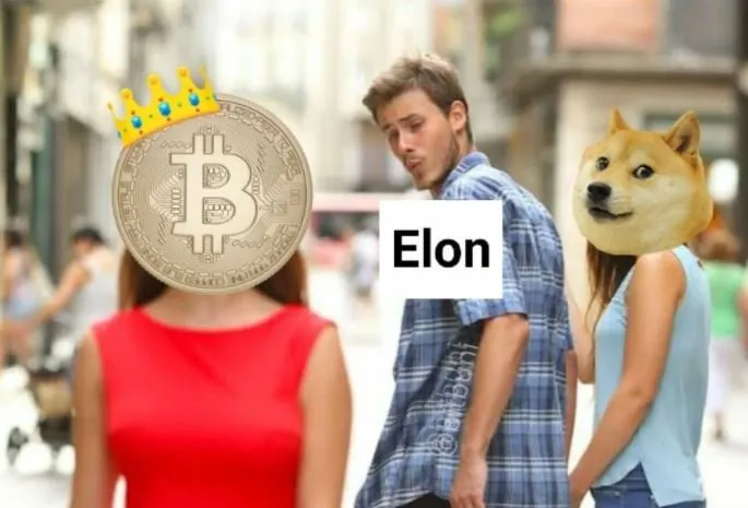 elon btc.JPG