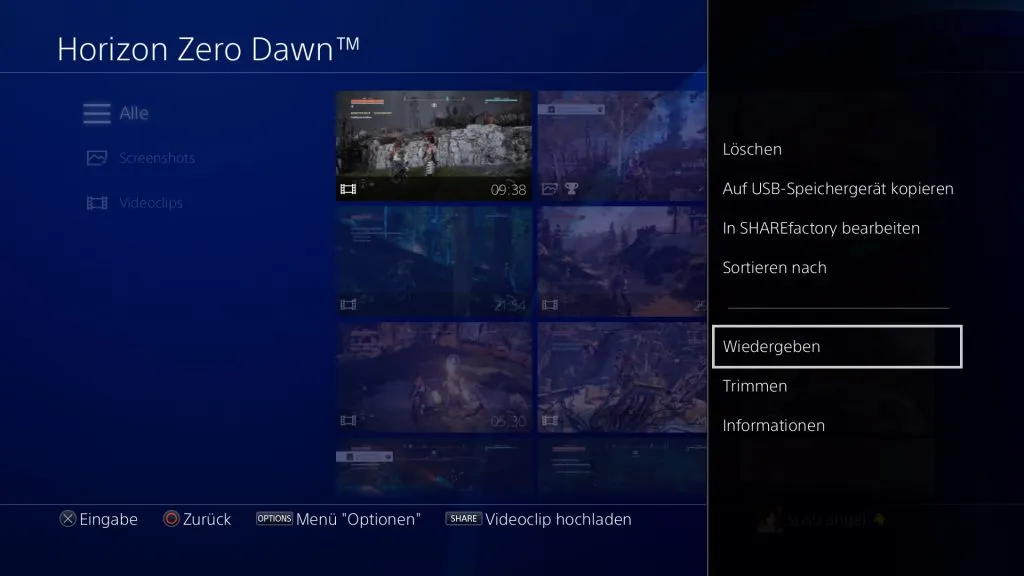 nerdweib-ps4-aufnahme-letsplay-auswahl-usb-speichern