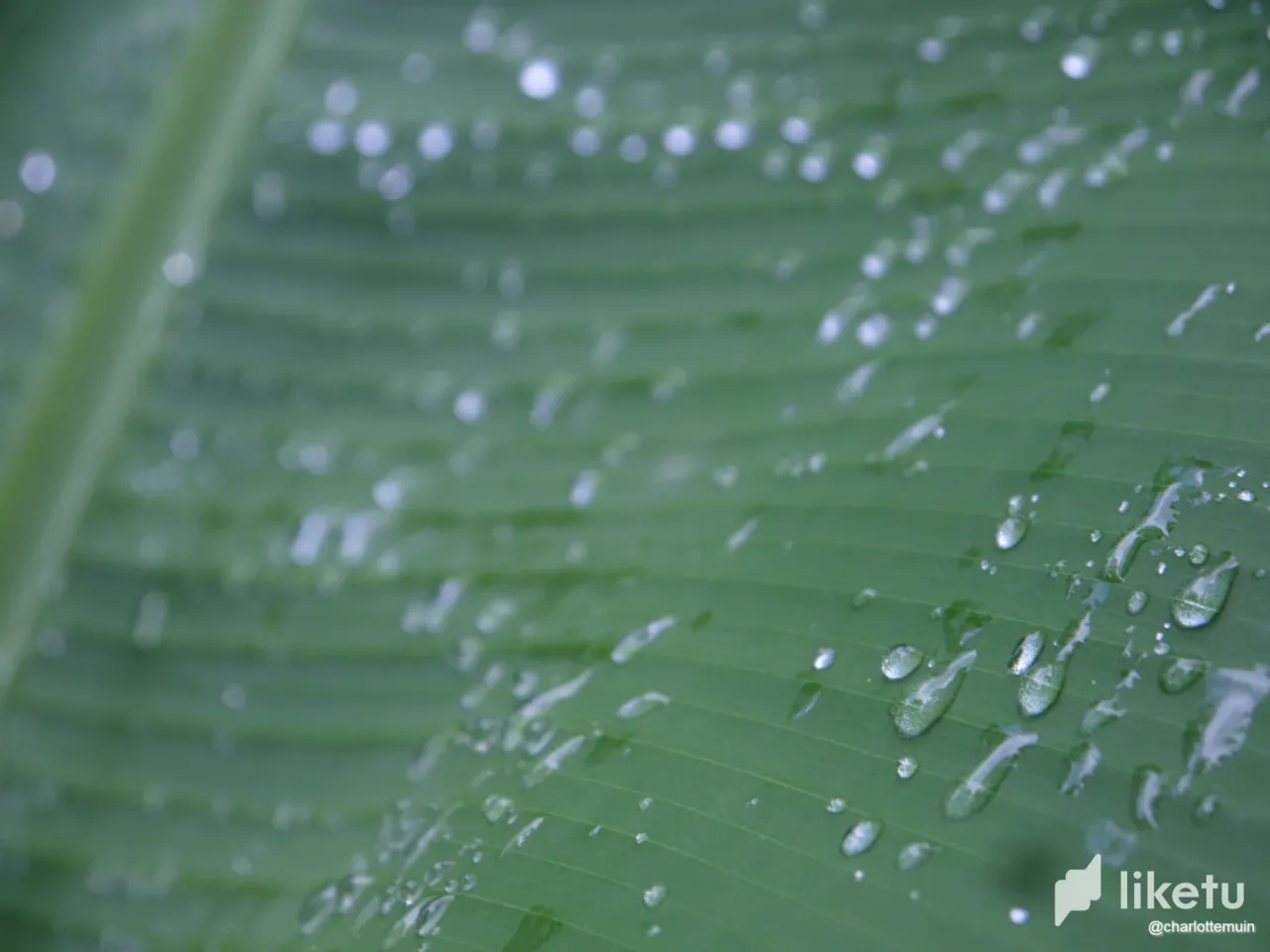 cln1vyiz704016hsz0aw46x9t_P1100927.webp