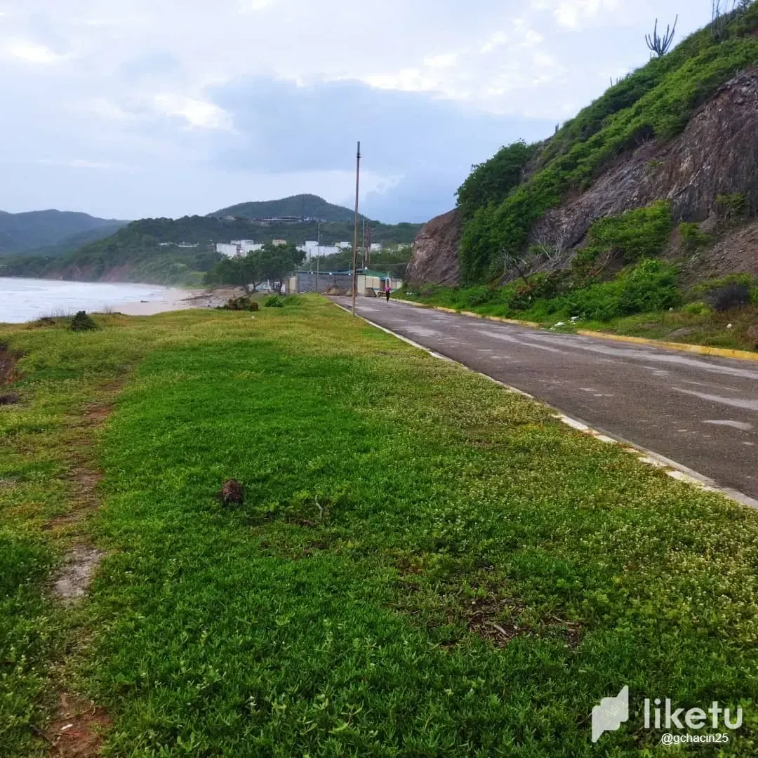 BpEY0jrqZolEm4eh_IMG-20250624-WA0177.webp