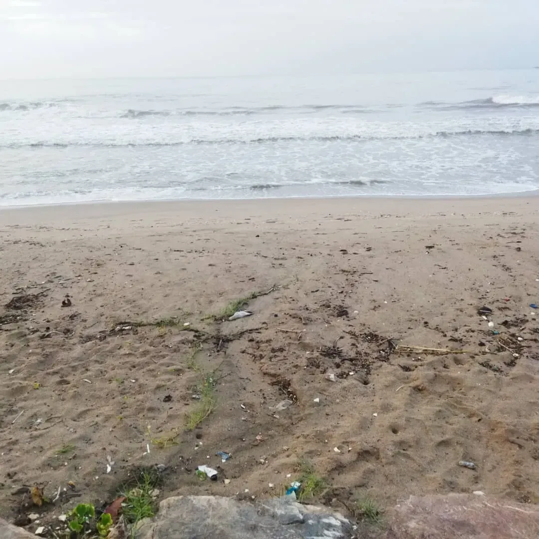 hSiUwasvGQvpB75S_IMG-20250626-WA0029.webp