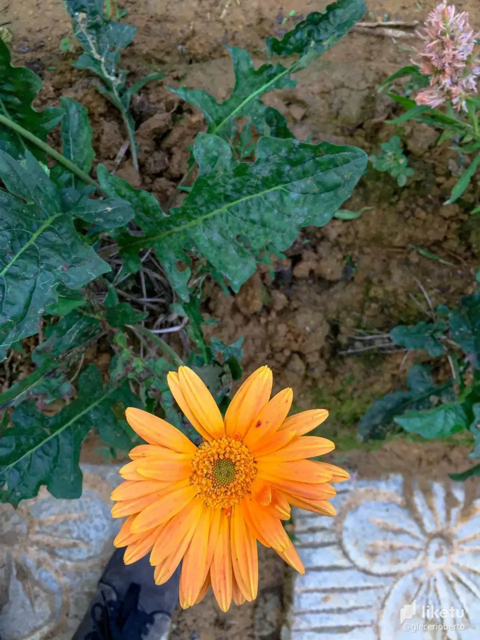 cl78fxhyd00gj0vm79kqlh1ue_IMG_0425.webp