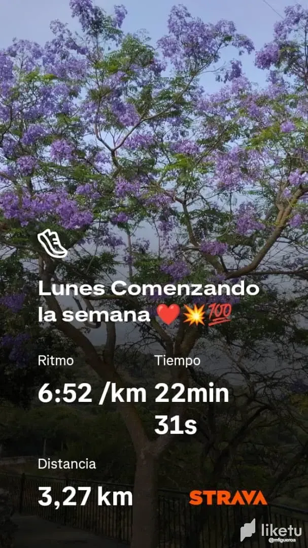 TYpXY5pClu4MZhaO_Lunes_3k_Junio_2025.webp