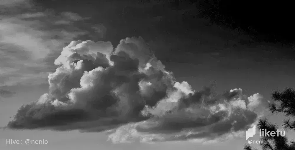 cl94zsysa01kt0hkcgif176ds_clouds-015bw.webp