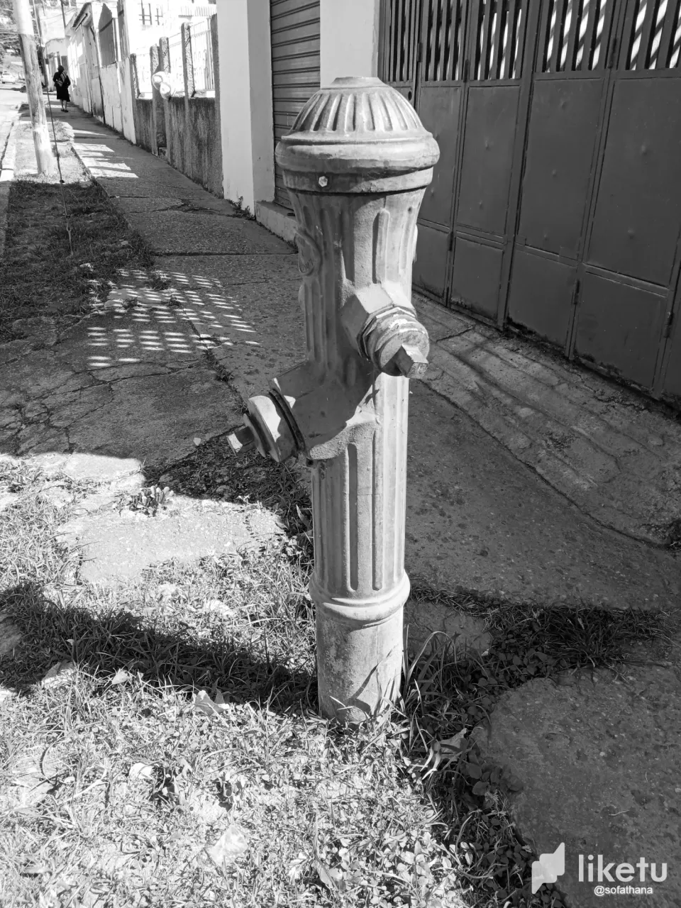YlUSvcZng70t9Xua_IMG_20241028_123557.webp