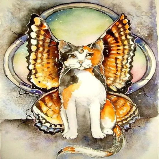 cat calico wings june Blessings111.jpg