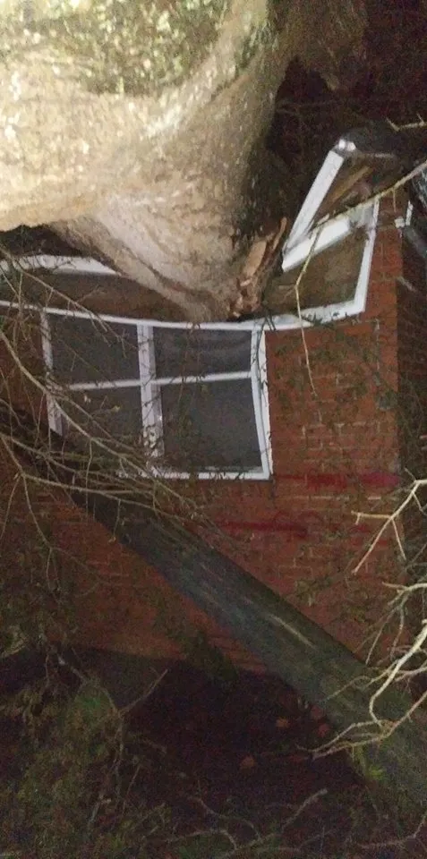 Florence damage apartment and tree.jpg