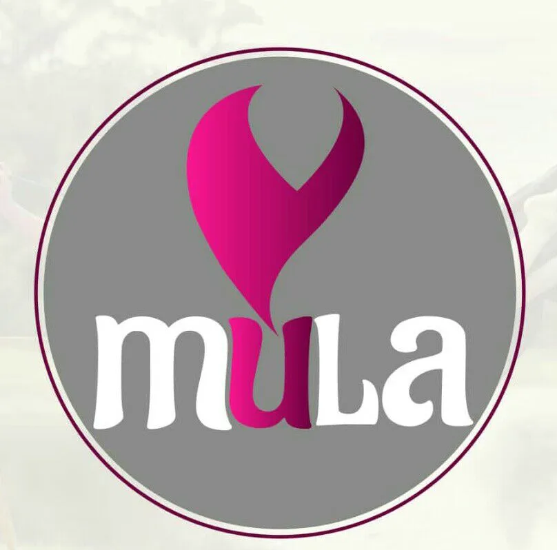 mula icon pink 2019-03-08 16.24.03.jpg