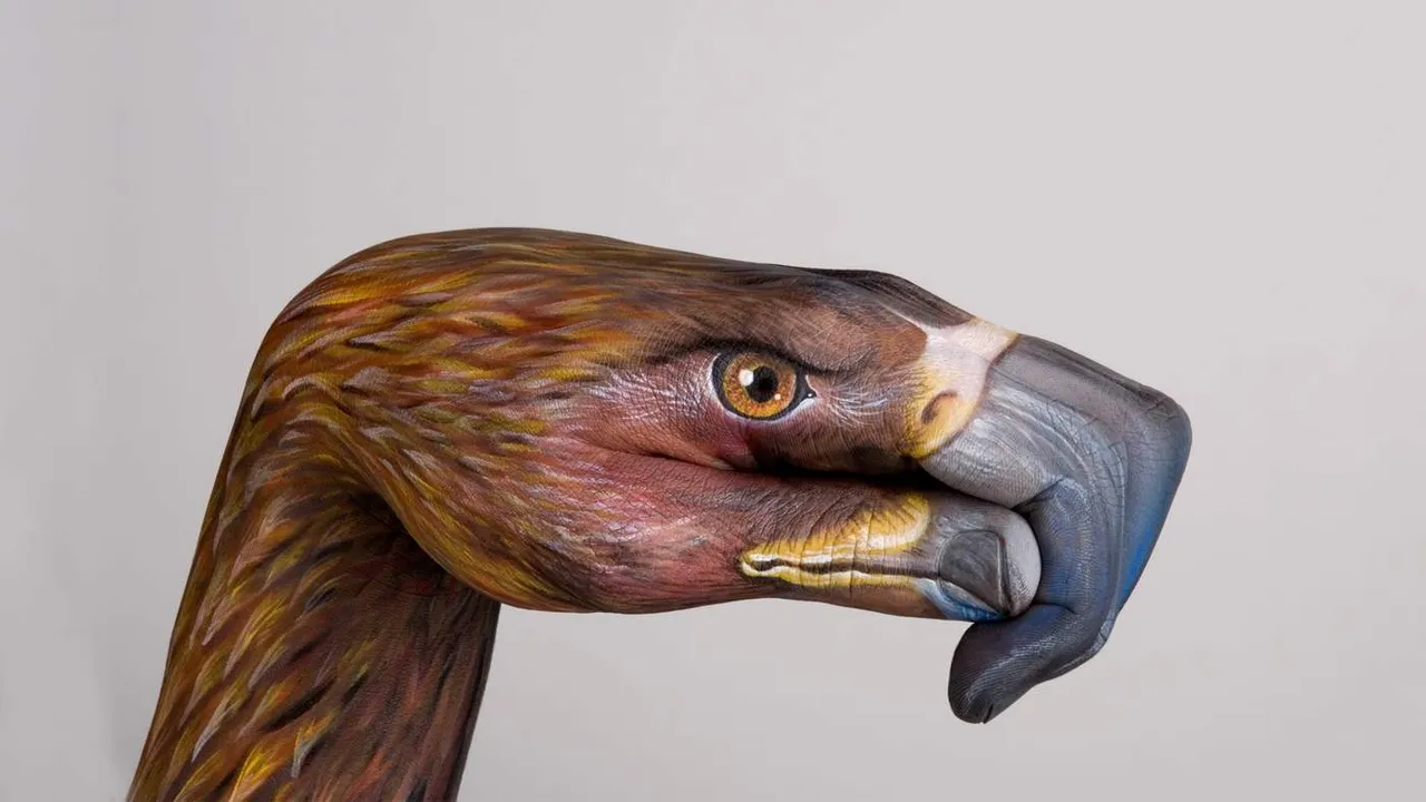 xhand-eagle-mr.jpg.pagespeed.ic.04BvPLeZaN.jpg