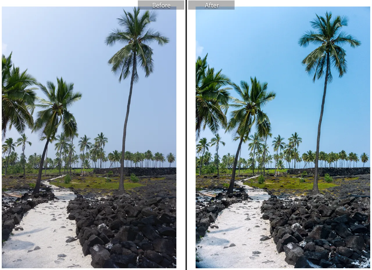 Screen Shot 2018-07-20 at 09.00.22.png