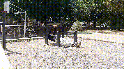 lv_0_20231214112604.gif