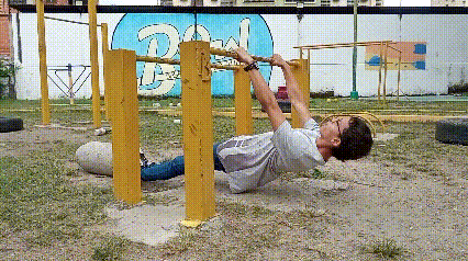 lv_0_20231117220222.gif