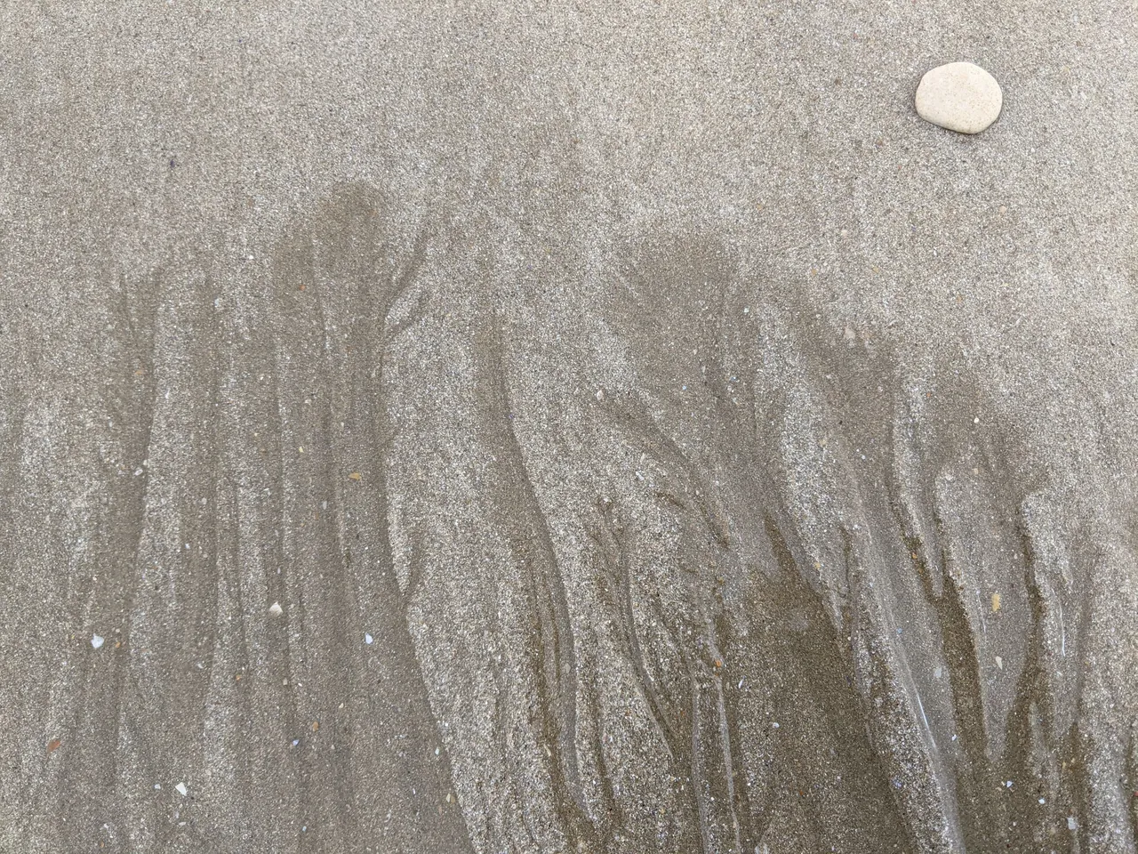 PXL_20220629_100107688.jpg