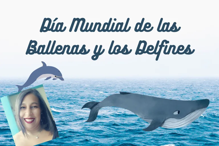 Ballenas y Delfines.png