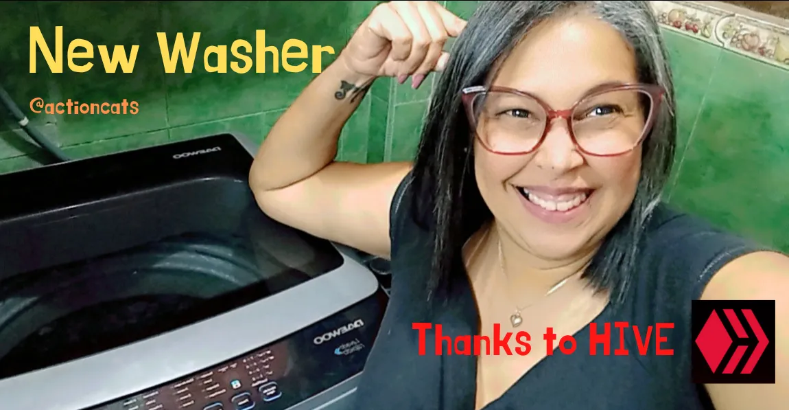 New washer (thanks to HIVE).png