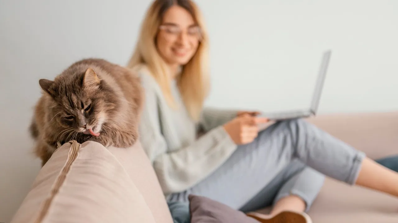 woman-sitting-indoors-with-her-cat.jpg