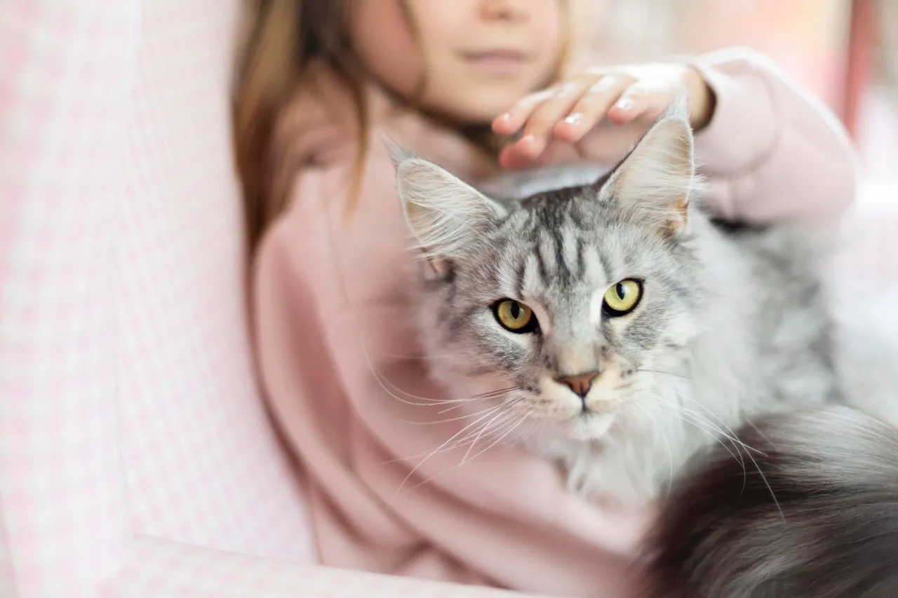 girl-petting-her-beautiful-cat.jpg