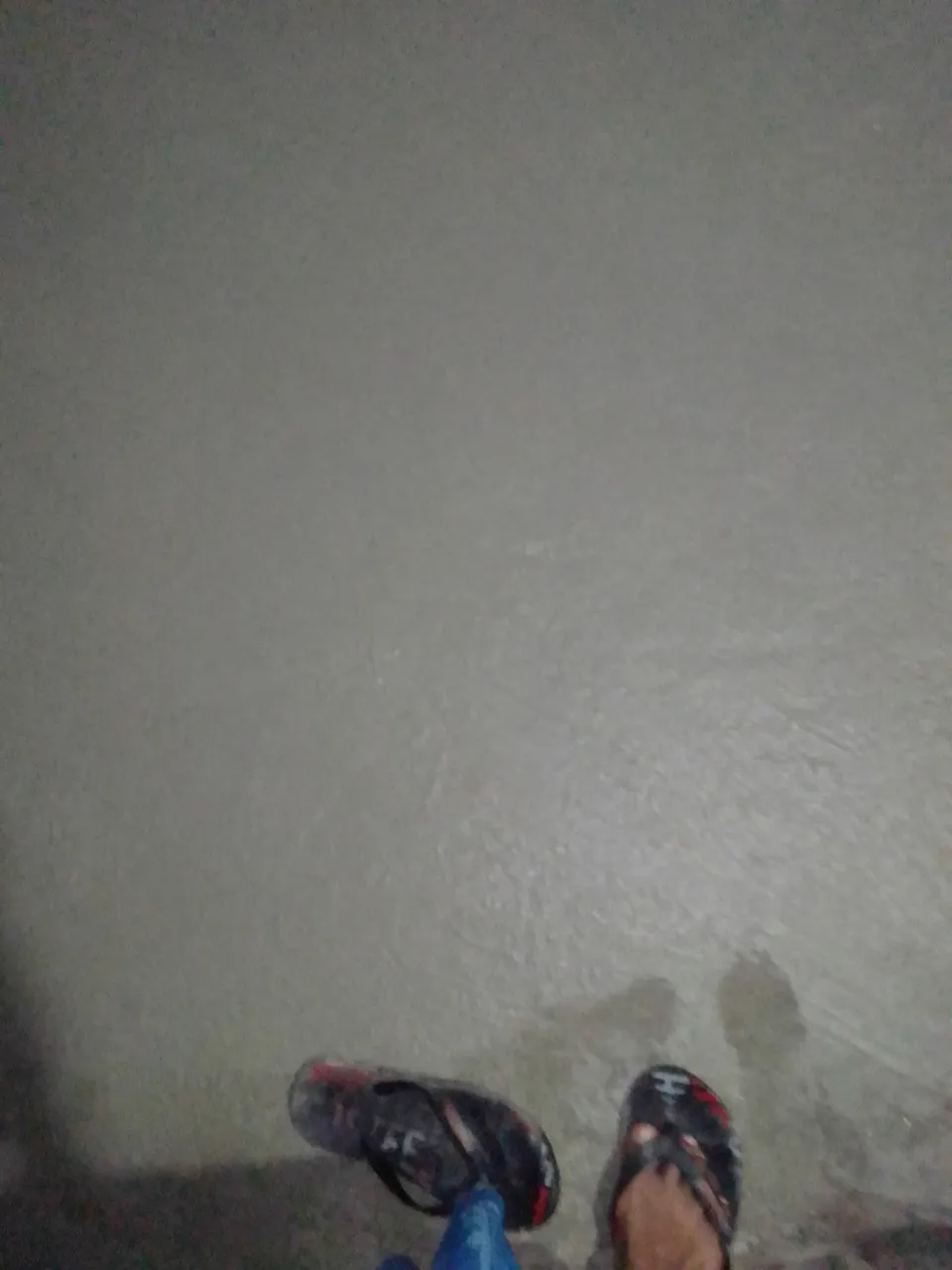 IMG_20220508_190838.jpg