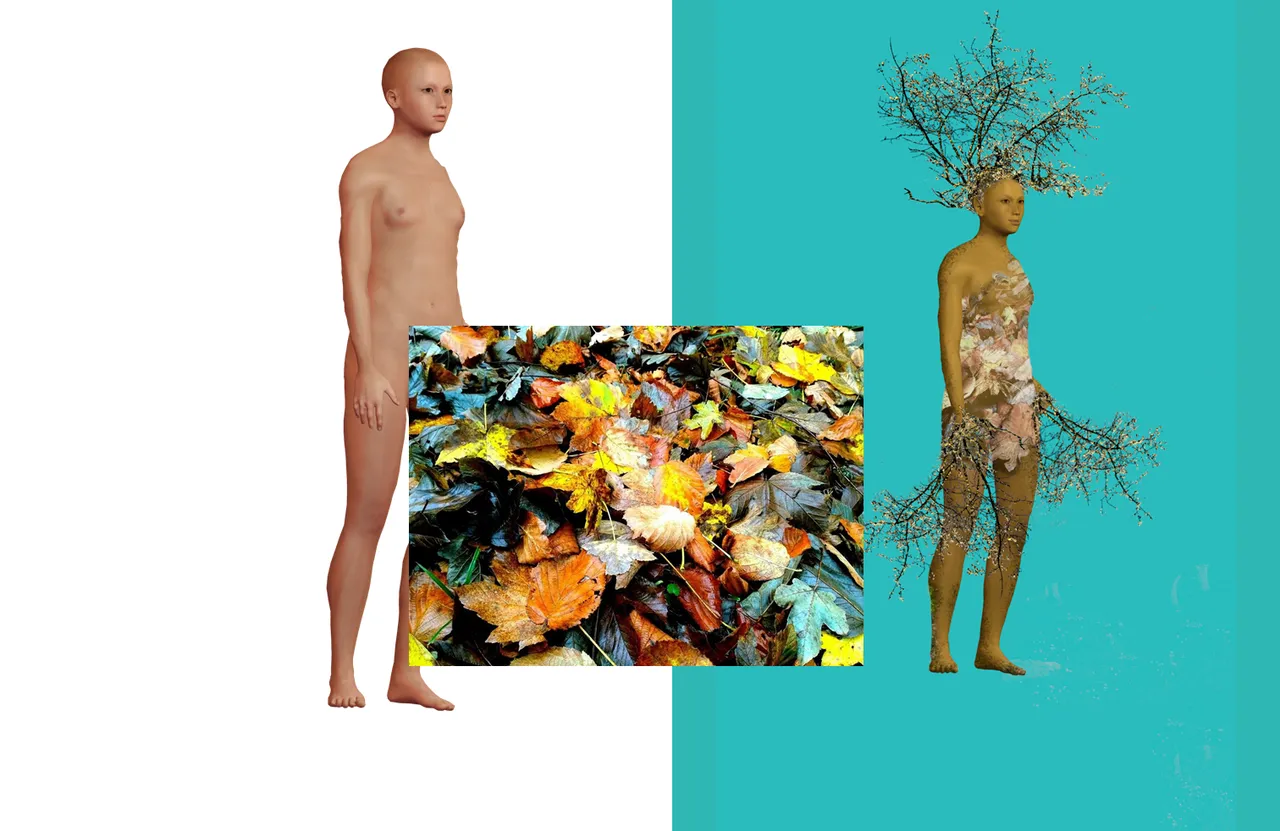 Diapositiva 4.png