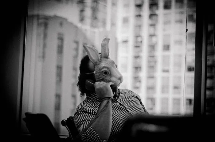 photo-1607038072407-a2fe22551a0d.jpeg