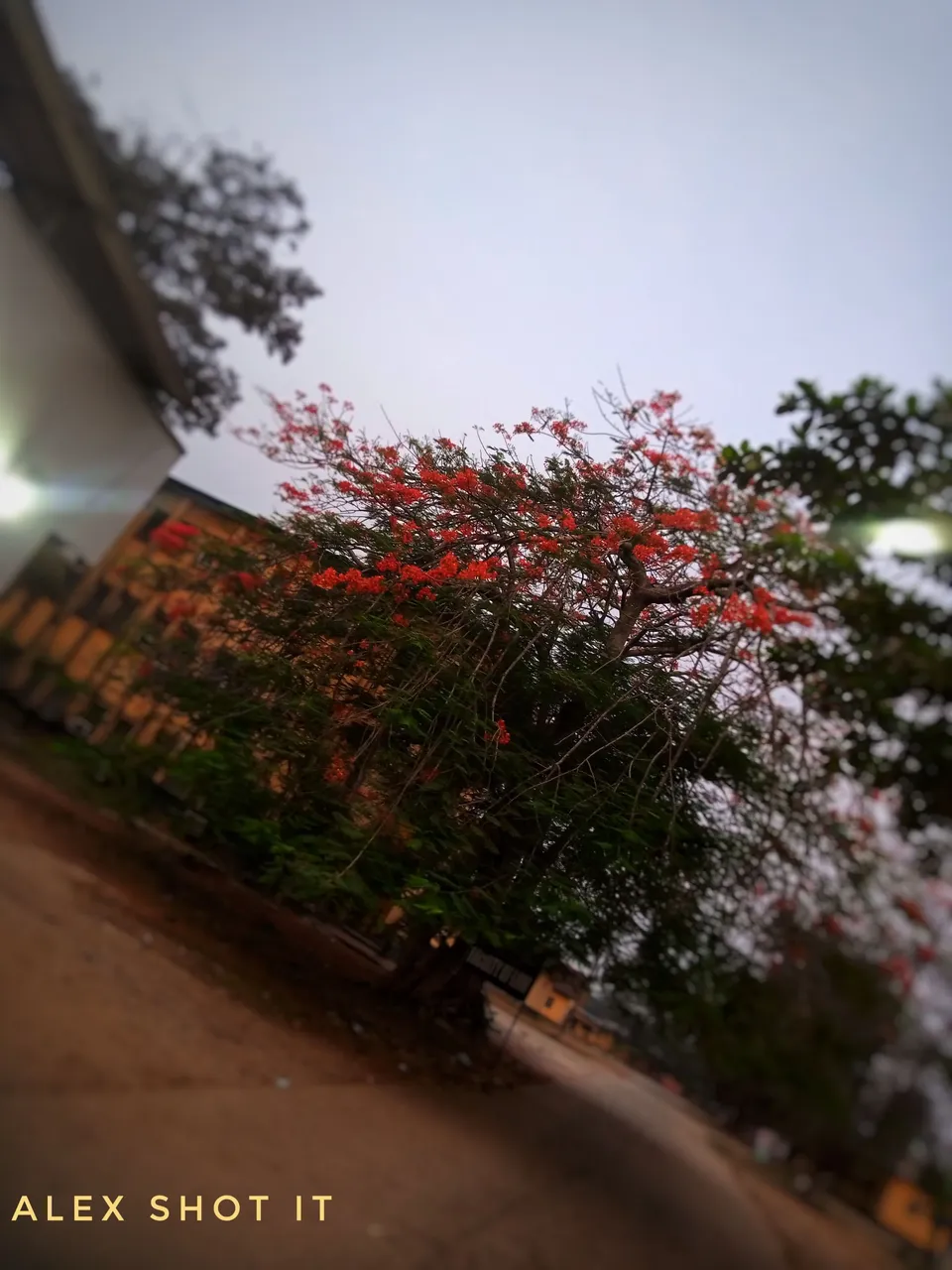 IMG_20230225_183350_803-01.jpeg