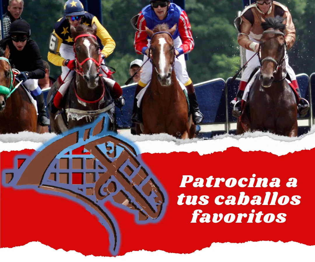 Patrocina1.png