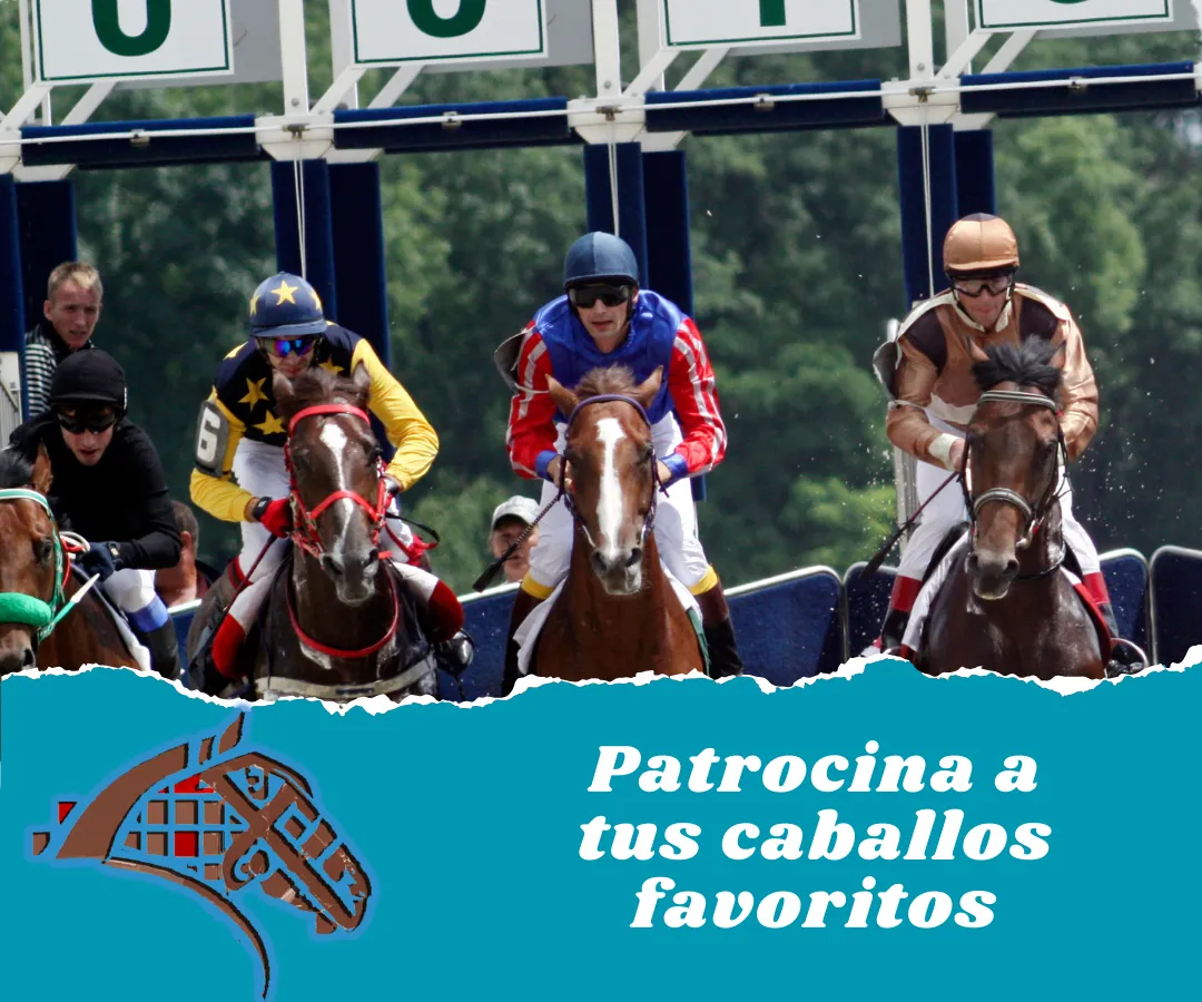 PatrocinaazulESP.png