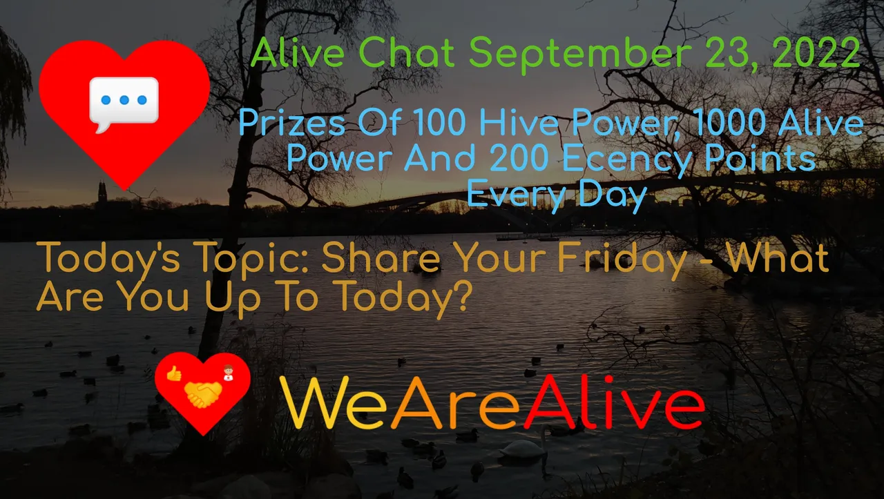 alivechat_1_original.jpg