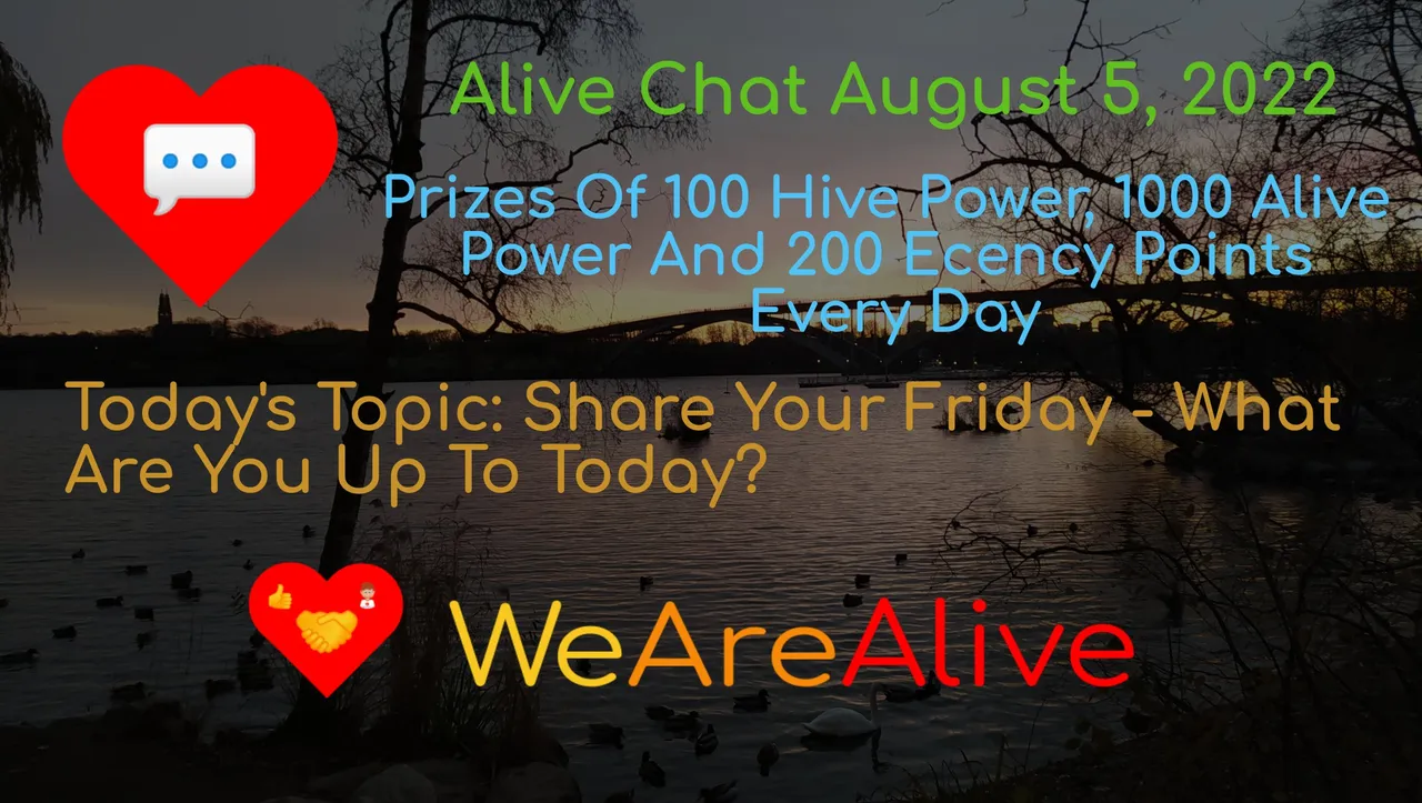alivechat_1_original.jpg