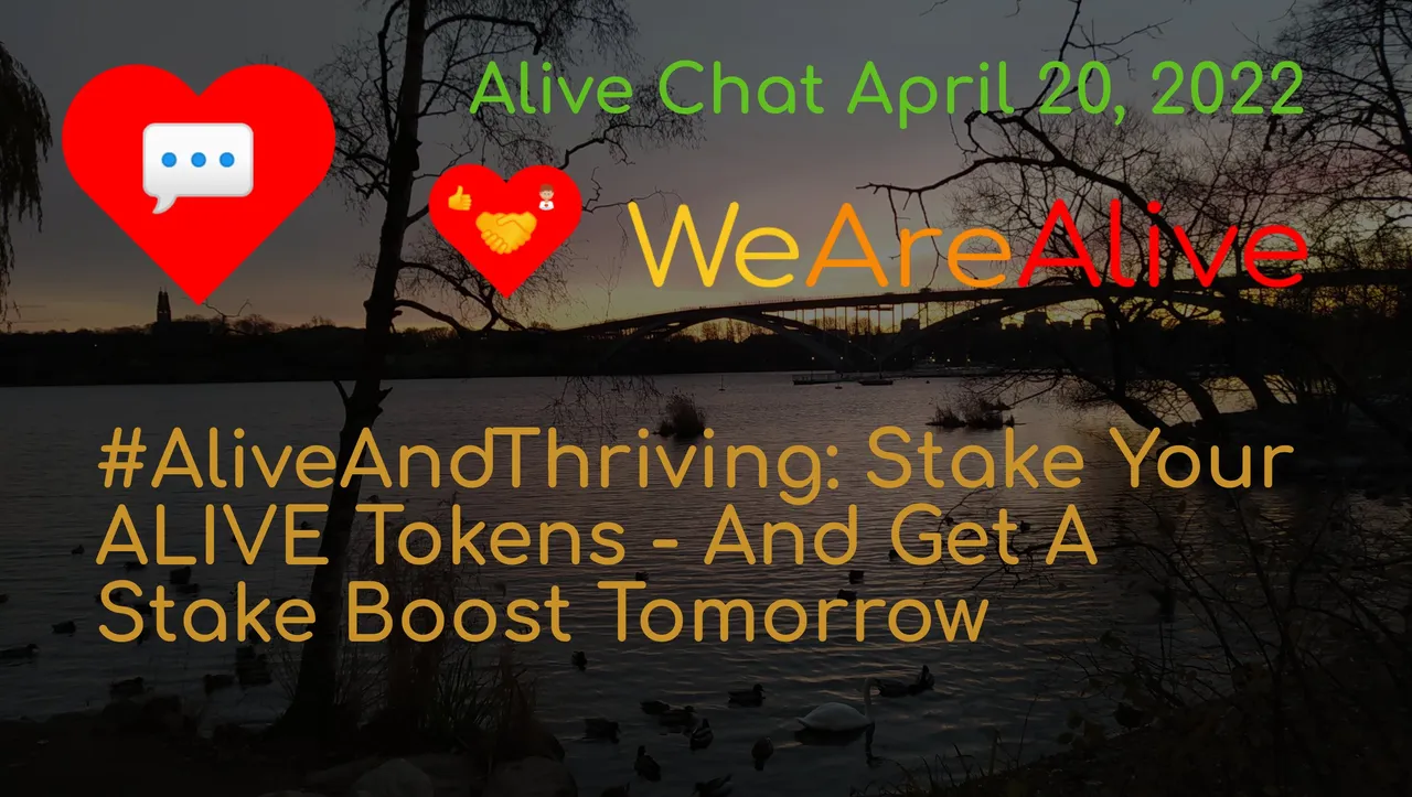 alivechat_1_original.jpg