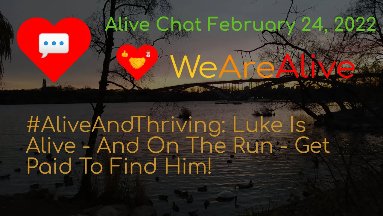 alivechat_1_original.jpg