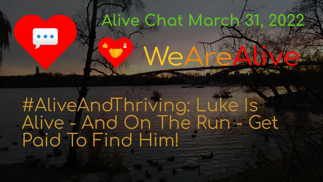 alivechat_1_original-1.jpg
