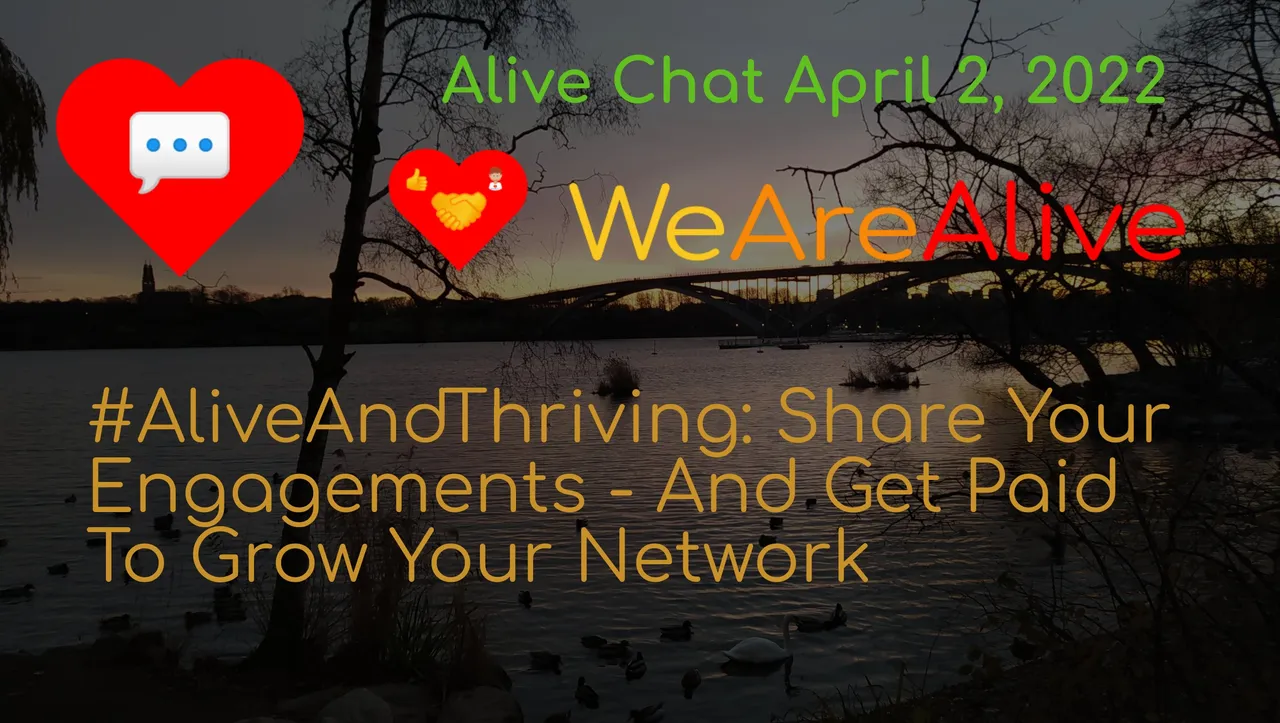 alivechat_1_original.jpg