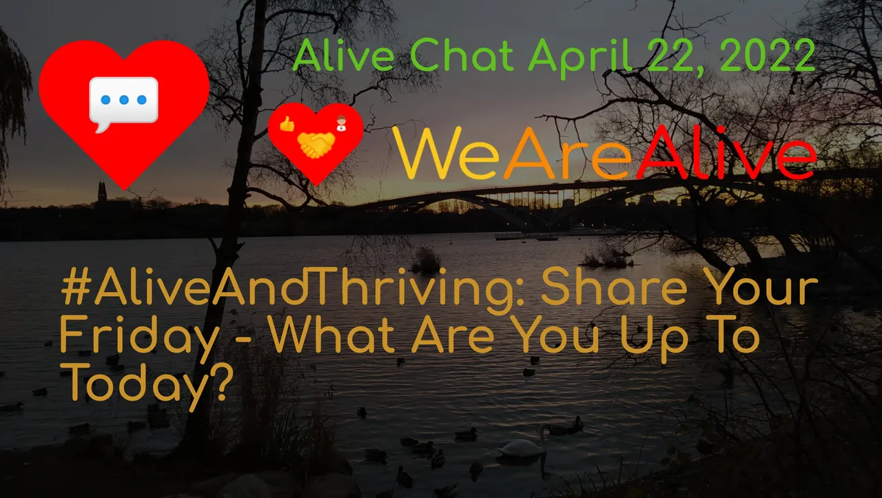 alivechat_1_original.jpg