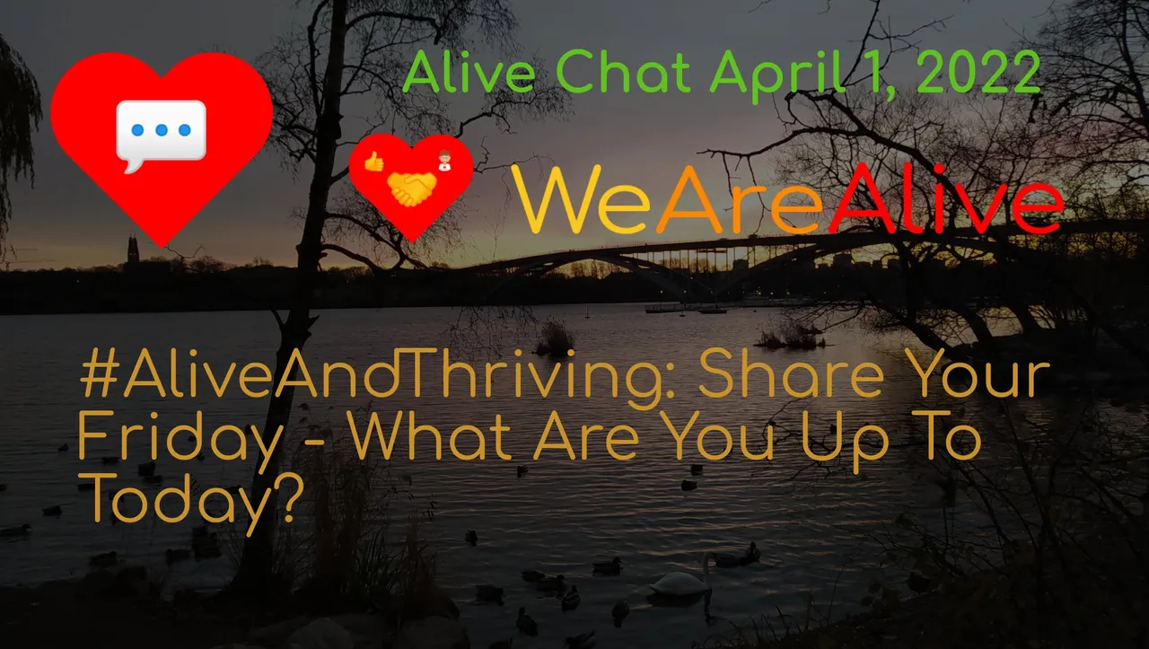 alivechat_1_original.jpg