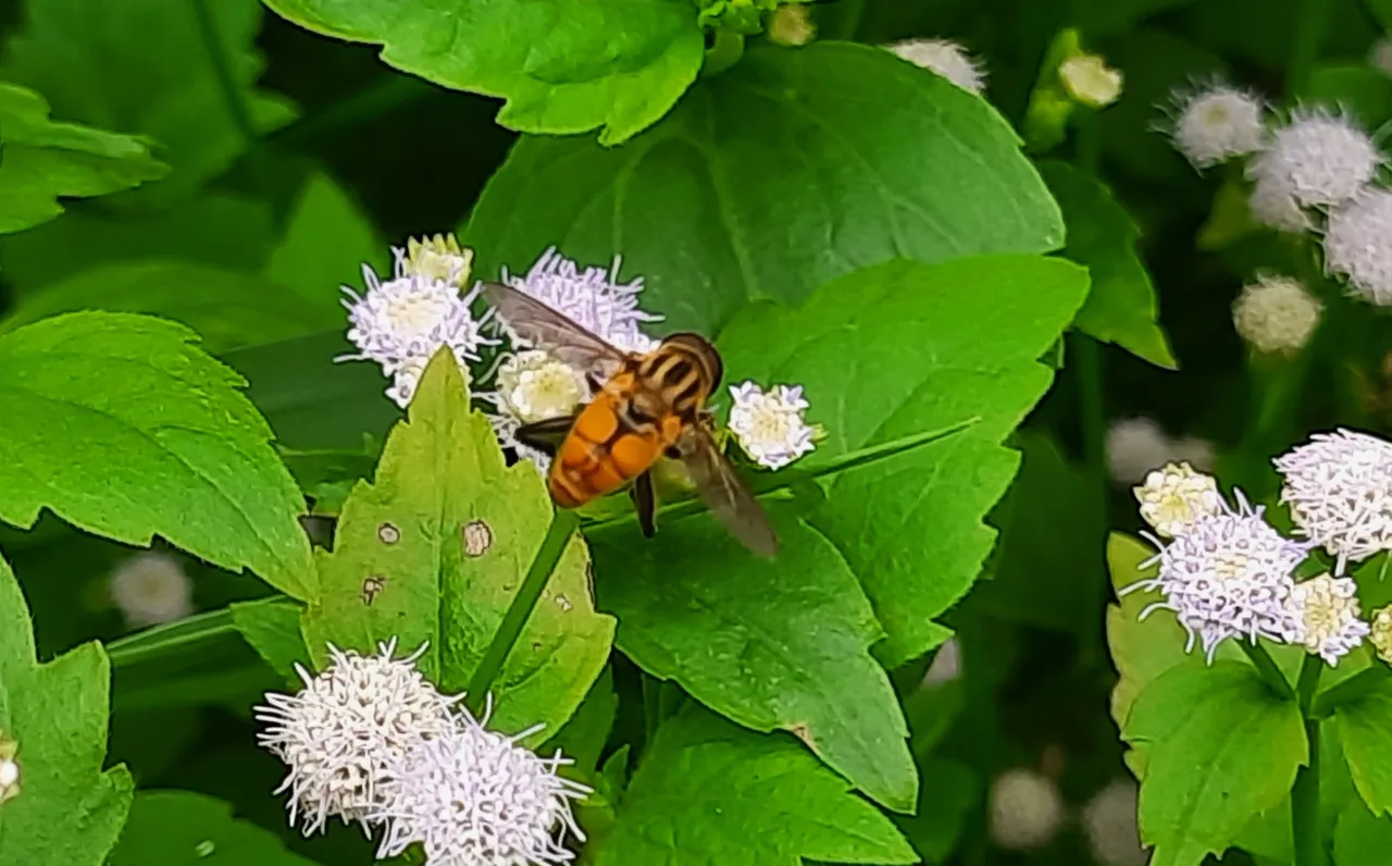 20240615_123445.jpg