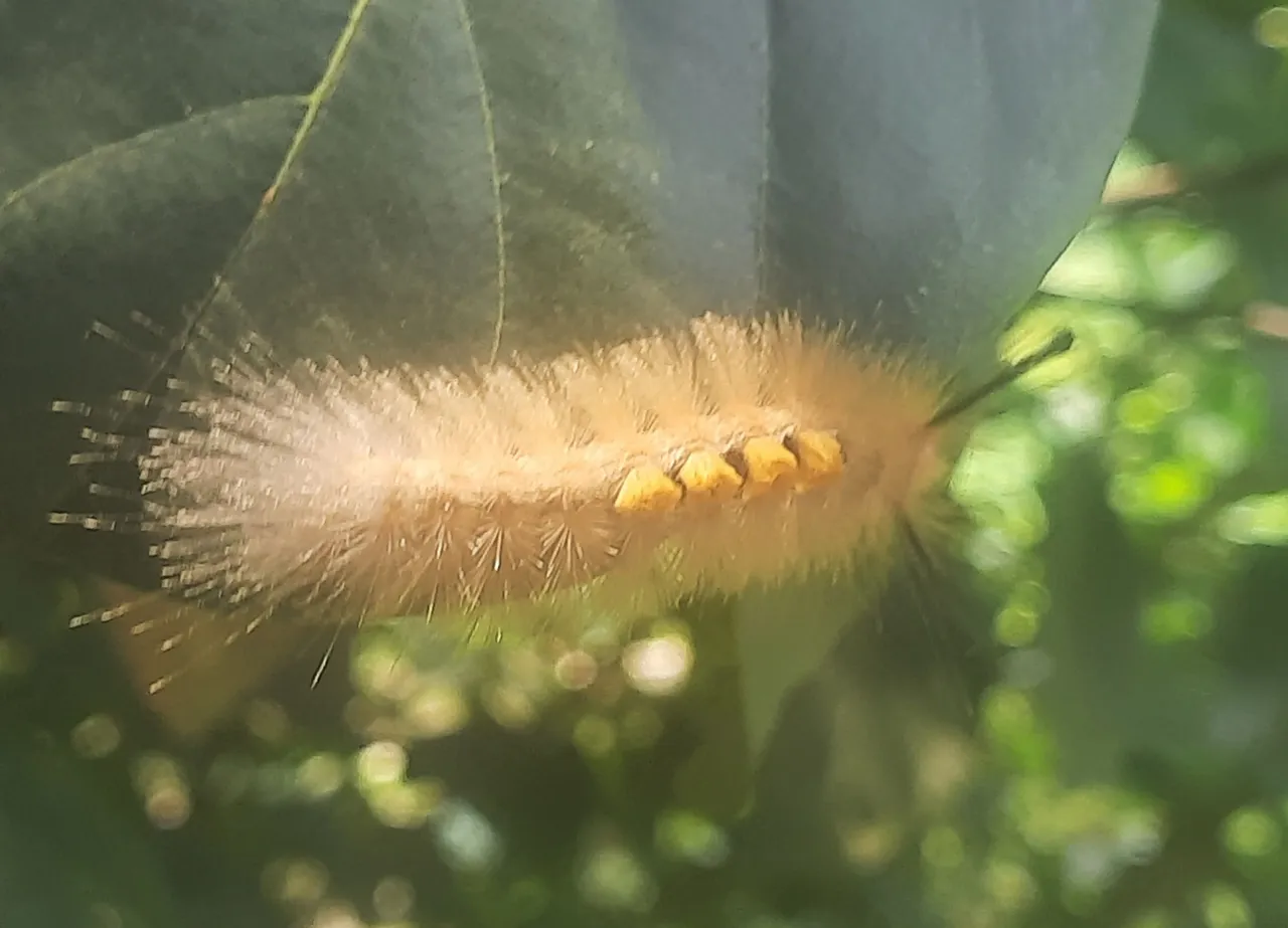 20250723_120403.jpg