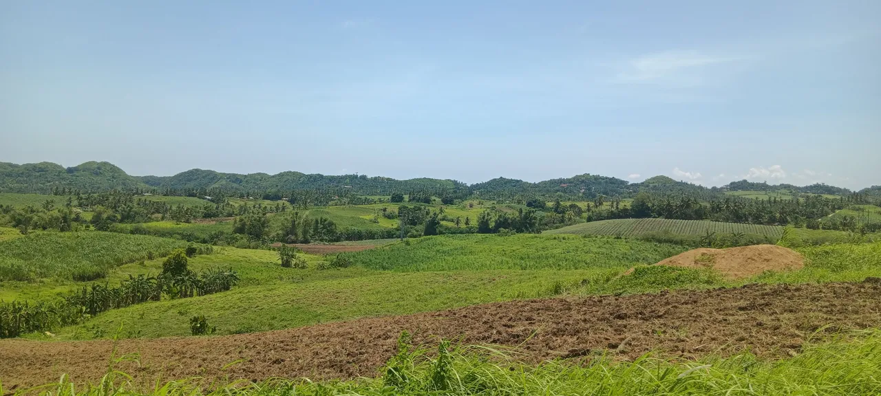 20230804_123103.jpg