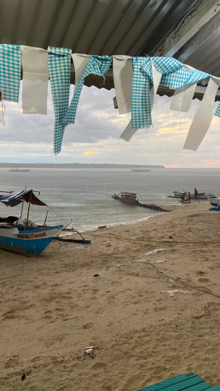 IMG_0729.jpeg
