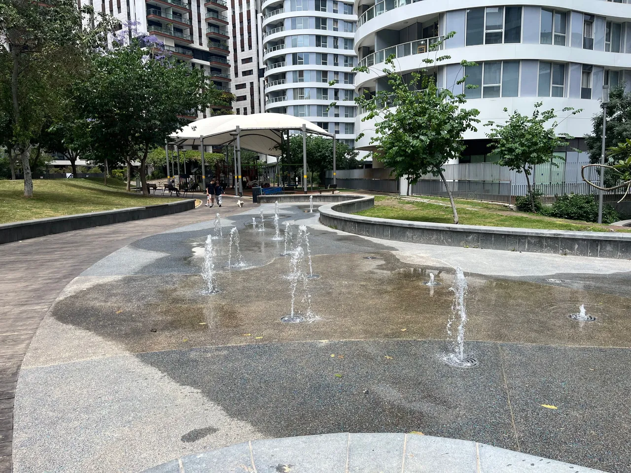 IMG_6442.jpeg