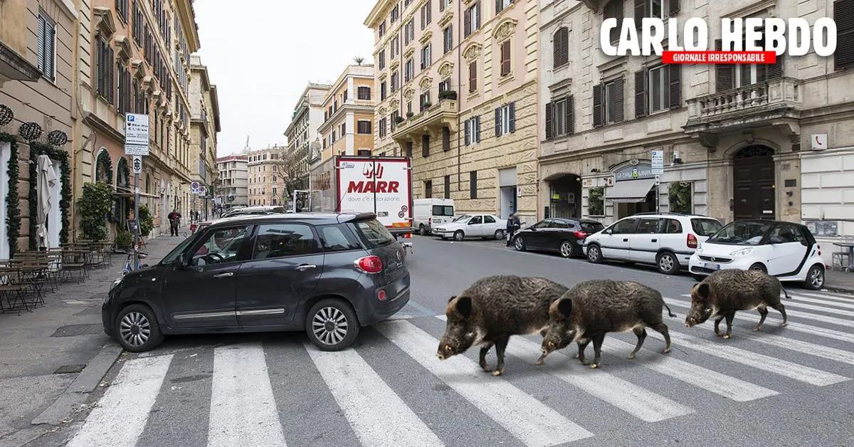 cinghiale-roma-isis-meme.jpg