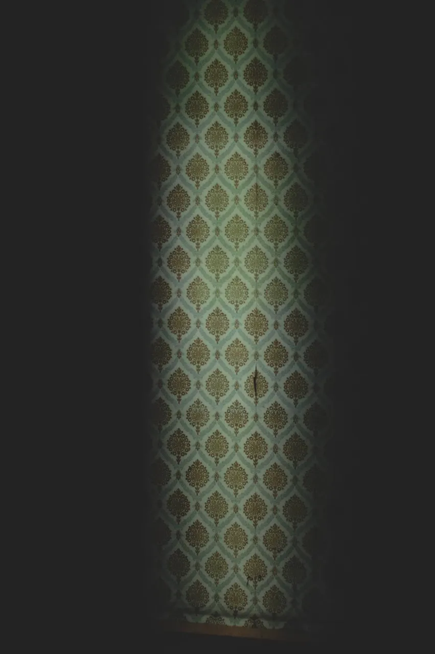 467752388_10162160213709391_9108914613896092090_n.jpg