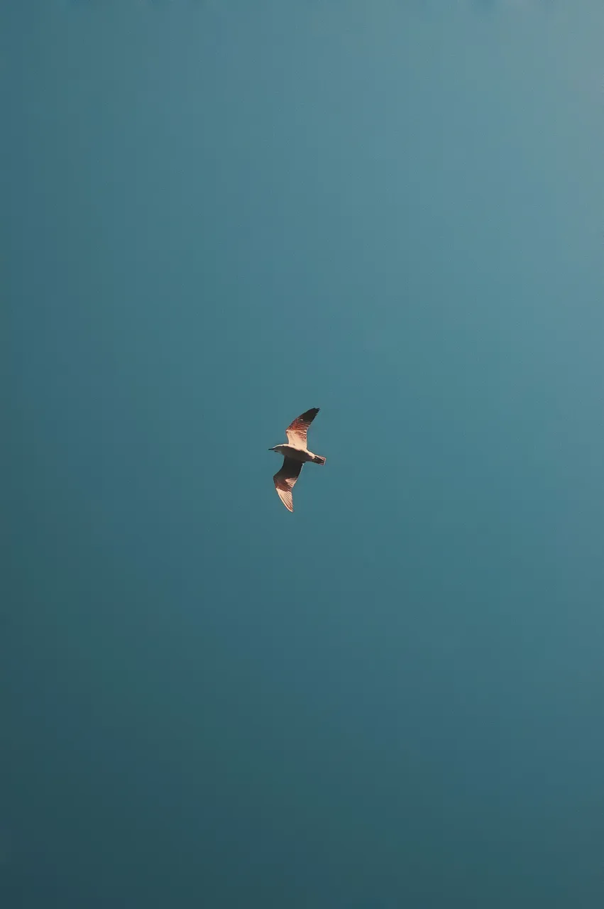 byebye.jpg
