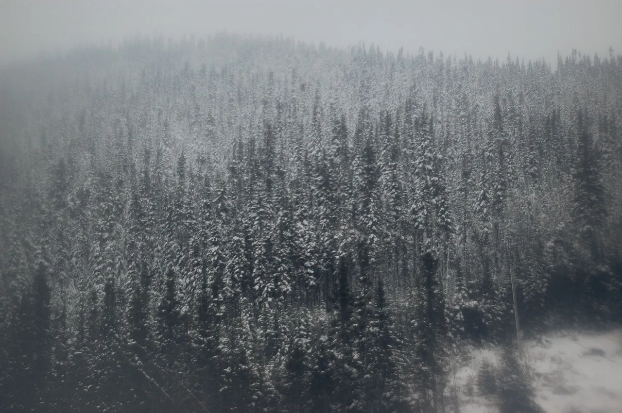 DSC_7212.png