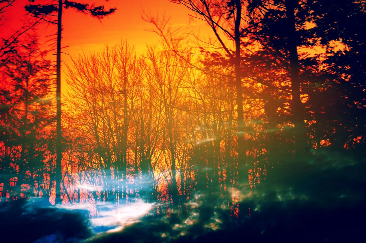 out there.jpg