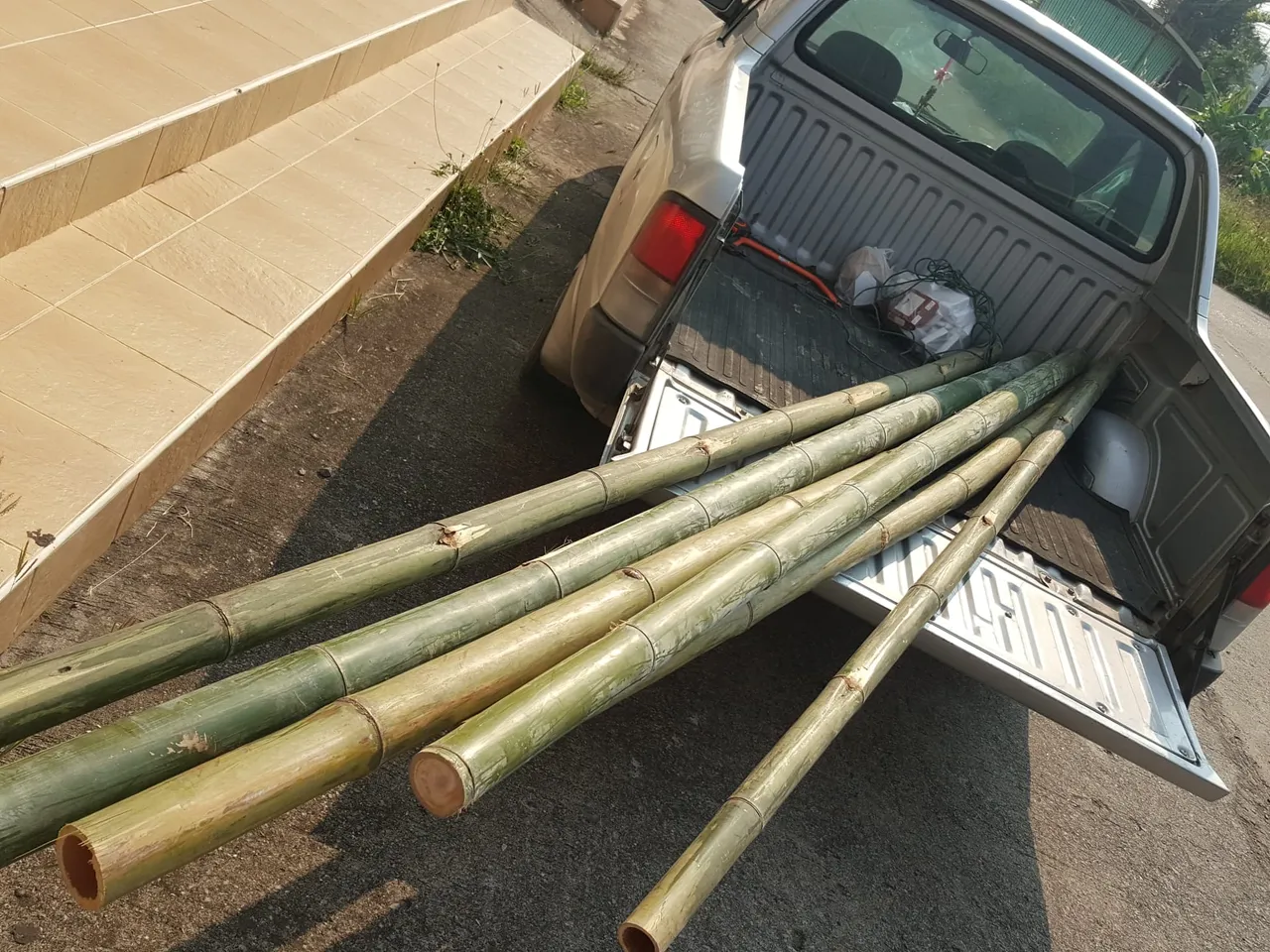 Bamboo4.jpg