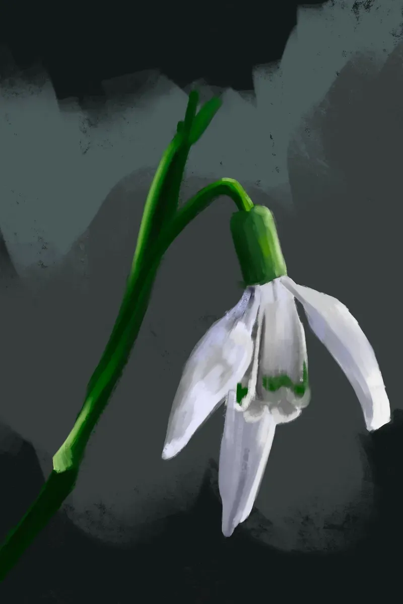 $1