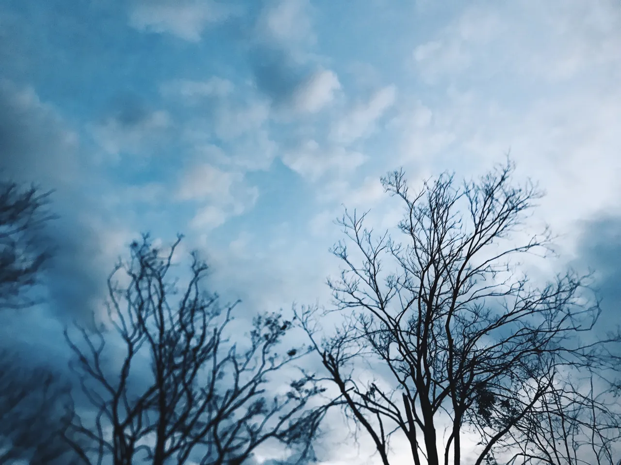 1E9B6AC2-570F-40C6-8D76-0E1AAA10D0D0.jpeg